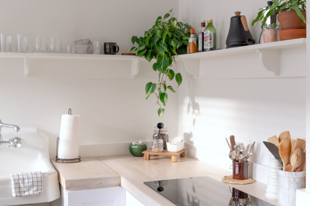 A bright, minimalist kitchen with plants, shelves, and a cooktop